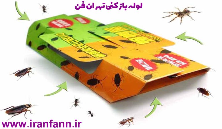 تله سوسک لوله بازکن نهران لوله بازکنی تهران فوری لوله بازکن